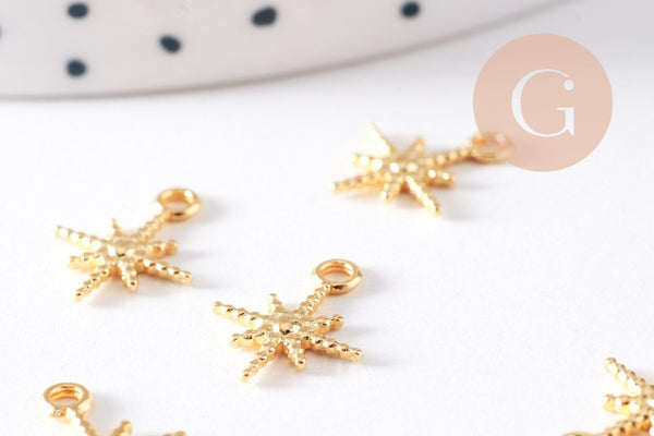 Breloque étoile du nord acier 304 inoxydable doré IP texturé 12.5mm, x1 (G10287)