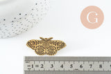 Broche papillon gravée acier 304 inoxydable doré 41mm, x1 (G9787)