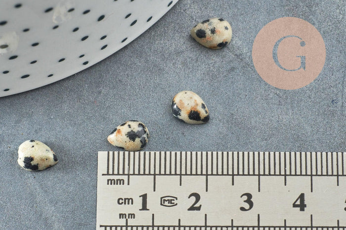 Cabochon goutte jaspe dalmatien naturel 8x6mm, x1 (G1892)