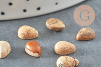 Cabochon goutte jaspe paysage naturel 8x6mm, x1 (G2260)
