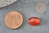 Cabochon ovale cornaline naturelle orange 10x14mm, x1 (G4483)