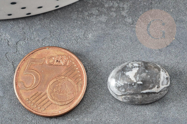 Cabochon ovale jaspe zebra naturel 13x18mm, x1 (G5050)