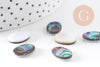 Cabochon ovale nacre noire naturelle ormeau 14mm, x1 (G5905)