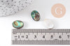 Cabochon ovale nacre noire naturelle ormeau 14mm, x1 (G5905)