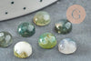 Cabochon rond agate mousse verte 8mm, x1 (G2422)