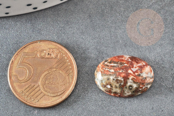 Cabochon rond jaspe léopard naturel 18x13mm, x1 (G1134)