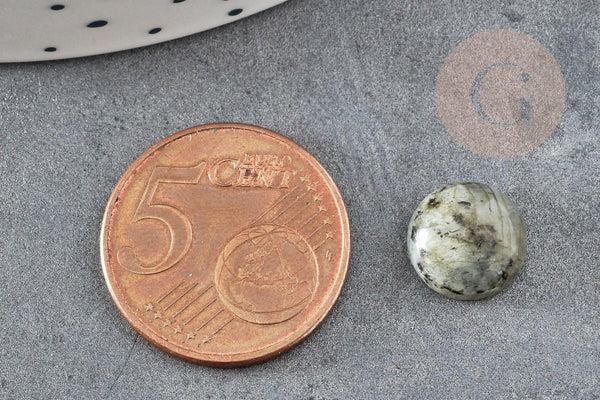 Cabochon rond labradorite naturelle 10mm, x1 (G5021)