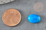 Cabochon rond turquoise bleue naturelle 14mm, x1 (G0349)