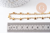 Collier Chaine complète avec fermoir acier inoxydable doré IP 14k 45cm étoile, x1 (G0430)