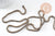 Chaine serpent écailles bronze, chaine bijou, fantaisie,grossiste chaine,5 mm, x1 metre, (G2495)