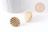 Clous-puces oreille coquillage acier 304 inoxydable dore 1 trou 21.5mm, la paire (G10286)