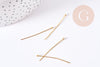 Clous tige tête boule acier doré 304 inoxydable IP 30mm , x20 (G8756)
