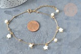 Collier Chaine de cheville laiton doré étoile nacre perle eau douce 24.8cm, x1 (G7880)