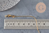 Adjustable 304 stainless steel gold IP 2mm/51cm curb chain necklace, x1 (G11257)