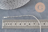 Singapore Chain Necklace, Stainless Steel, Silver-Plated, 2mm/43cm, x1 (G11203)