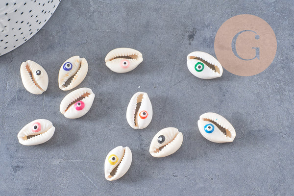 Coquillage cauris ouvert oeil chance 18-22mm,x10 (G2058)