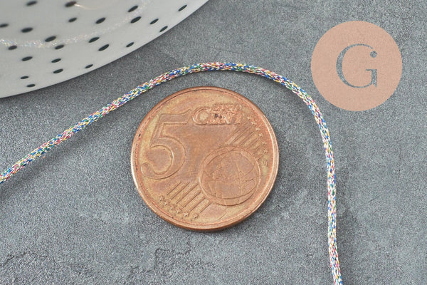 Cordon argent irisé multicolore 1mm, x1 mètre (G5071)