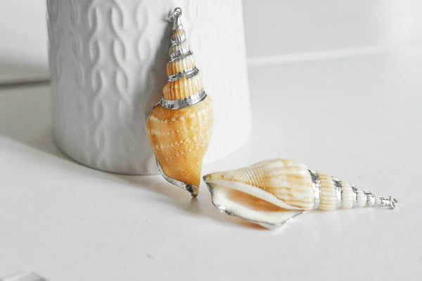 EP -Pendentif coquillage naturel argenté, pendentif argent création bijoux, coquillage Conch bijou,coquillage naturel,58mm, x1,G1498