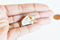 EP Pendentif coquillage naturel spirale doré,pendentif doré, création bijoux, coquillage bijou,coquillage or, 38-51mm,G2349