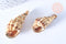 EP Pendentif coquillage spirale doré 23-86mm,création bijoux coquillage or, x1 (G7310)