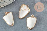 EP-Pendentif pointe coquillage blanc laiton doré 30-40mm, x1 (G7096)