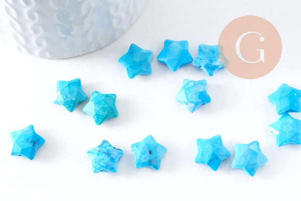 EP-Perle étoile howlite turquoise naturelle 30mm, x5 (G2397)