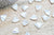EP-Perle triangle nacre blanche naturelle doré,pendentif triangle nacre,coquillage blanc, bijou nacre 12mm, x1 G4498