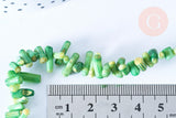EP Perles bambou de mer naturel teinté vert,perles imitation corailcoquillage vert,fil 38cm-G0991 (adn)