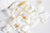 EP Sable coquillage nacre naturelle 7.5-13mm non percé, Sachet 20 grammes G0256