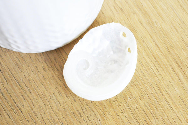 EP coquillage naturel blanc nacré HALIOTIS OVINA, bijou coquillage naturel,3.5-5cm, x1 G4164