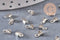 Embouts corde fer platine à pincer 6mm, x100 (3,2gr) (G10602)