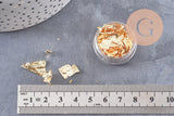 Feuille métal doré, feuille d'or pour création de bijoux, inclusion résine ou création pâte polymère, boite de 4 gr, x1 (G3504)
