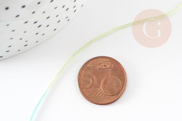 Fil à broder polyester dégradé rose turquoise 0.5mm, fil original, pour bracelet brésilien, fil à broder ou scrapbooking, x8 mètres G9357