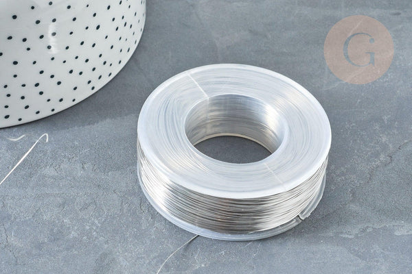 Fil d'acier inoxydable platine argenté 0.3mm, x1 Mètre (G8096)