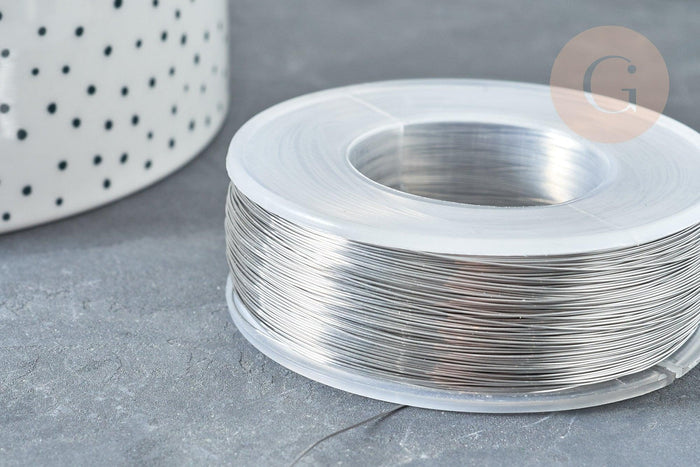 Fil d'acier inoxydable platine argenté 0.3mm, x1 Mètre (G8096)