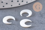 Lune nacre blanche naturelle,pendentif lune,coquillage blanc,corne percée,création bijoux,Pendentif nacre,13x12mm, les 2 (G3253)