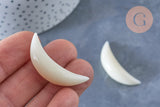 Pendentif Lune corne blanche naturelle 45x10mm, pendentif lune en corne naturelle blanche, création bijoux, x1, - G6493