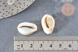 Pendentif Perle coquillage cauri resine blanc 19mm, x5 (G5403)