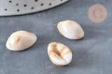Pendentif coquillage cauri acrylique beige marbré 19mm, x10 (G5488)