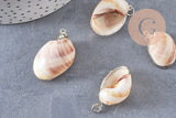 Pendentif coquillage argenté, coquillage naturel,création bijoux, coquillage bijou,coquillage argent, x1,26-38mm-G2311