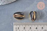 Pendentif coquillage cauri naturel doré resine noire 19mm, x5 (G0892)