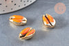 Pendentif coquillage cauri naturel doré resine orange19mm, x5 (G4406)