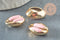 Pendentif coquillage cauri naturel doré resine rose 19mm, x5 (G1230)