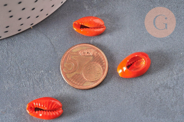 Pendentif coquillage cauri naturel orange 15mm, x5 (G2902)