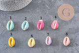 Pendentifs coquillage cauri naturel résine colorée 19mm, assortiment de 8 couleurs pastel.