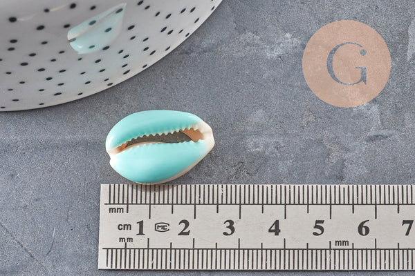 Pendentif coquillage cauri naturel resine colorée 19mm, x5 (G0736)