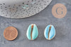 Pendentif coquillage cauri naturel resine colorée 19mm, x5 (G0736)