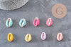 Pendentif coquillage cauri naturel resine colorée 19mm, x5 (G0736)
