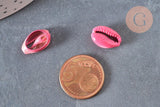 Pendentif coquillage cauri naturel rose 15mm, x5 (G1530)