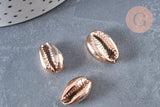 Pendentif coquillage cauris naturels or rose 20mm, x5 (G0158)
